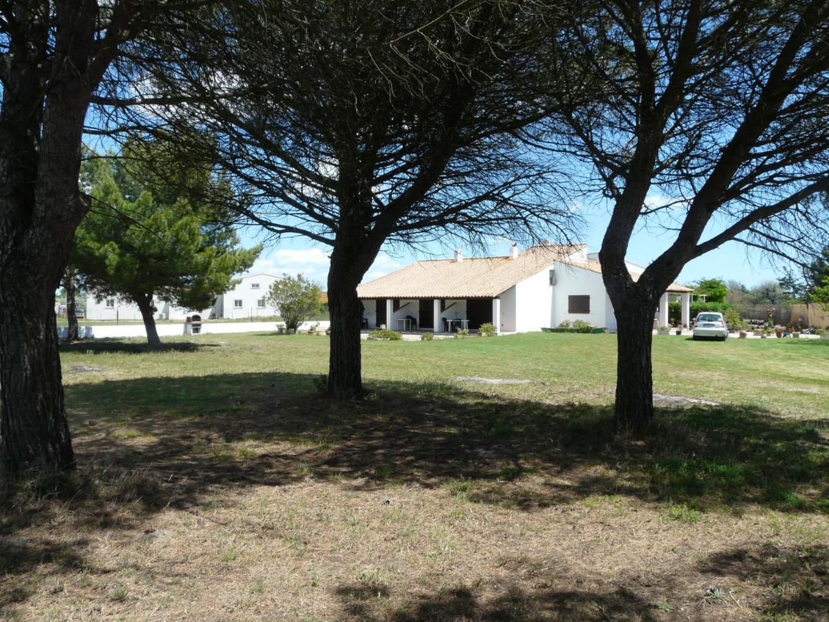 Mas Du Clos De La Barque Saintes-Maries-de-la-Mer Eksteriør bilde