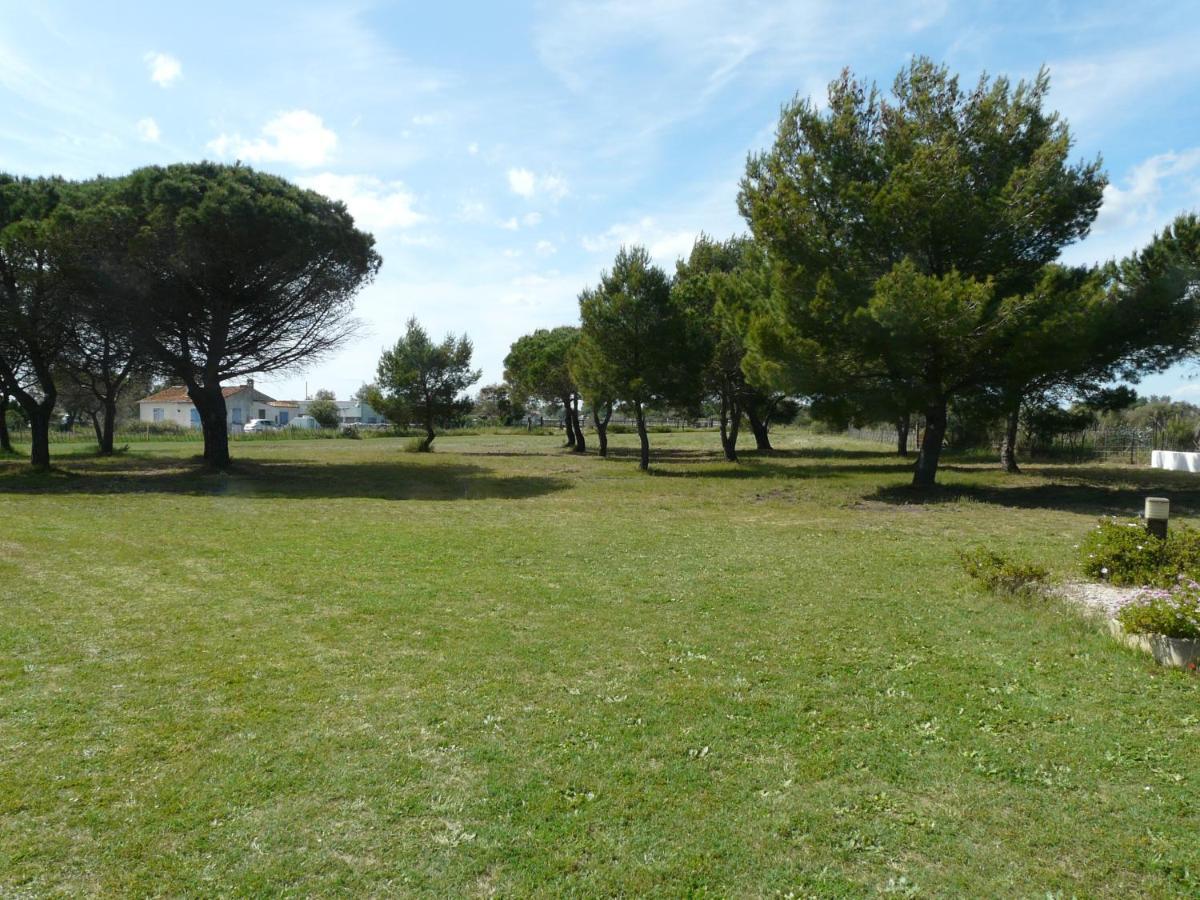 Mas Du Clos De La Barque Saintes-Maries-de-la-Mer Eksteriør bilde