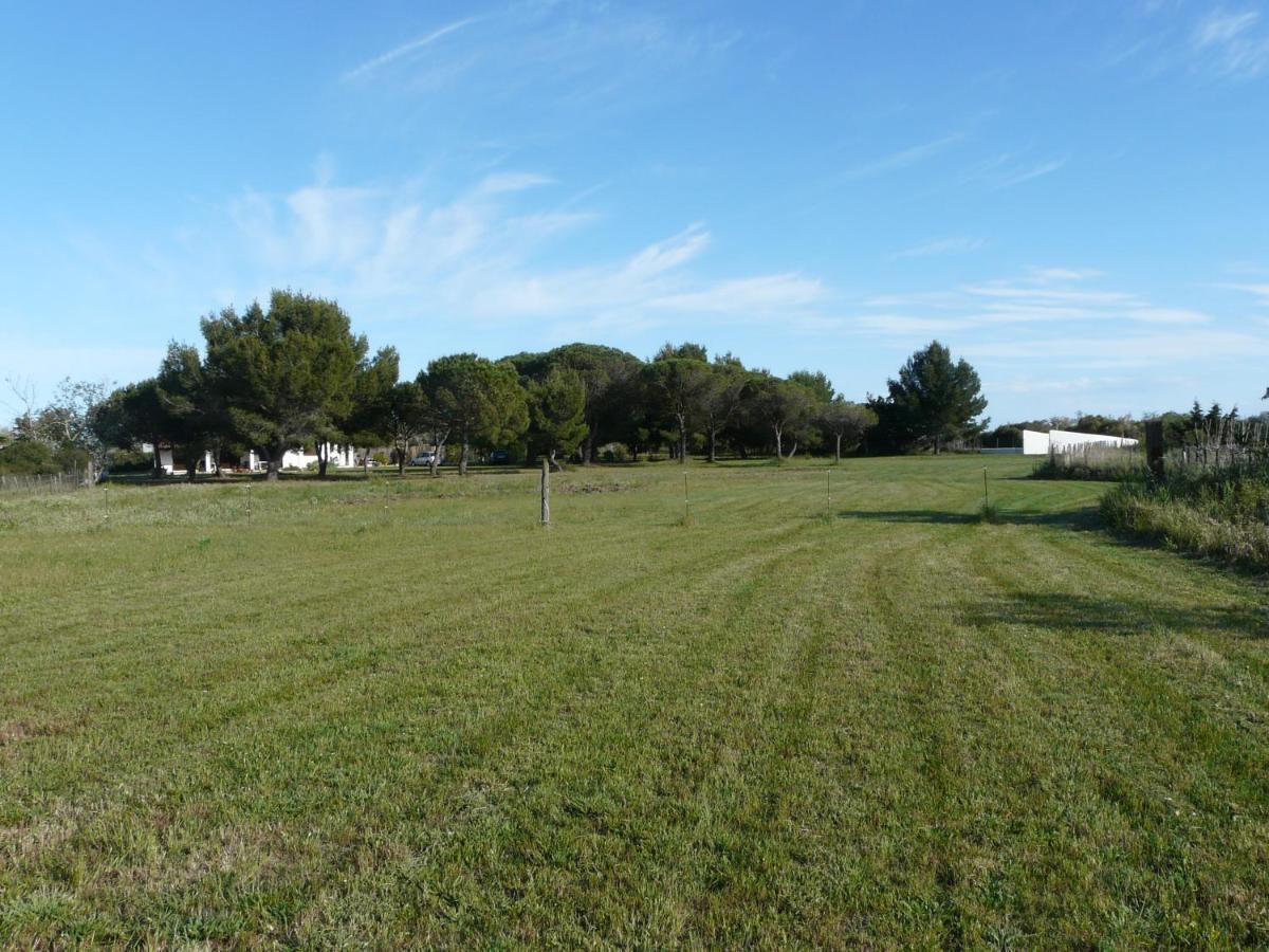Mas Du Clos De La Barque Saintes-Maries-de-la-Mer Eksteriør bilde