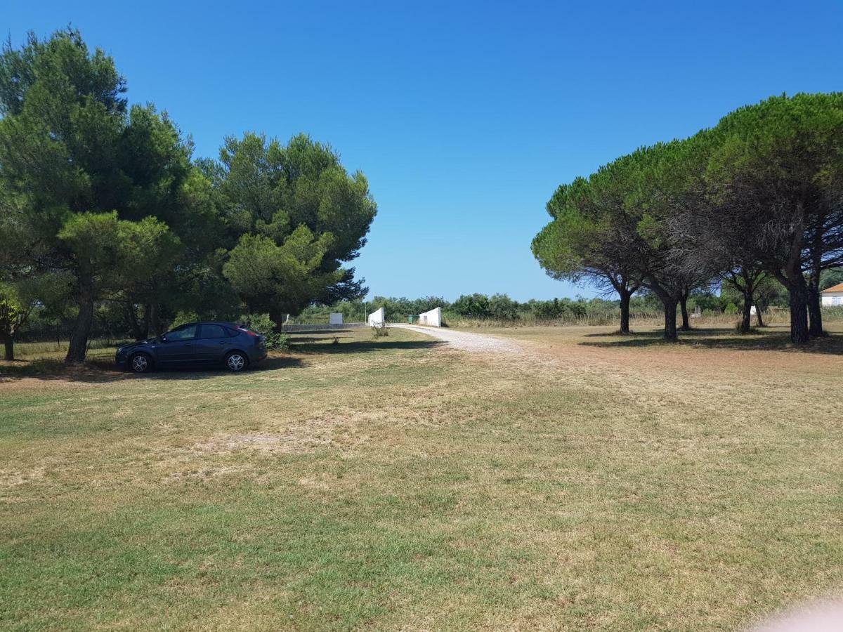 Mas Du Clos De La Barque Saintes-Maries-de-la-Mer Eksteriør bilde